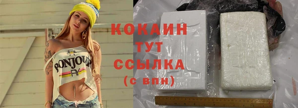 индика Володарск
