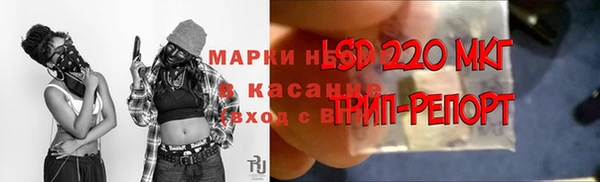 индика Володарск