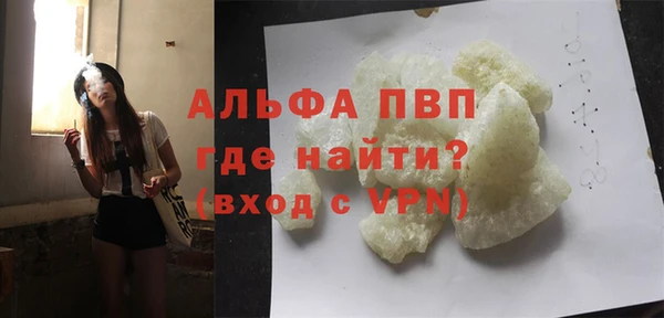 индика Володарск