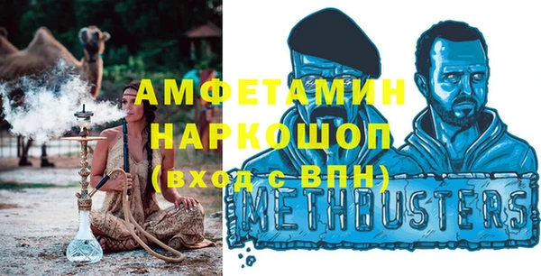 индика Володарск