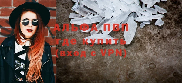 индика Володарск