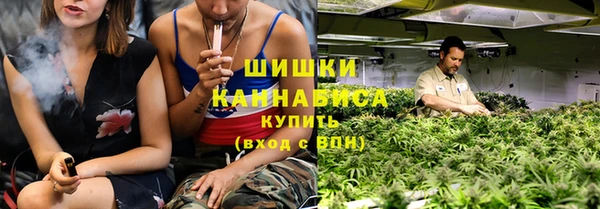 индика Володарск