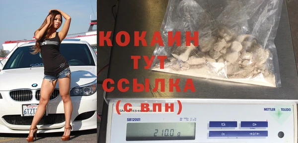 индика Володарск