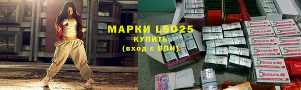 индика Володарск